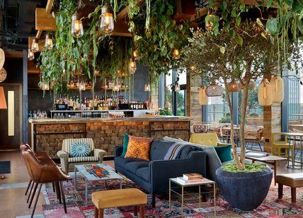 An image of a living room with plants hanging from the ceiling, Signature cocktails with a selection of canapes at the Nest. Treehouse Hotel London