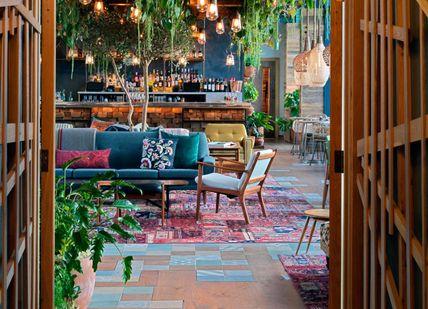 An image of a room with wooden walls and plants, Signature cocktails with a selection of canapes at the Nest. Treehouse Hotel London