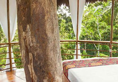 An image of a bedroom with a view, Treehouse Retreat in the Amazon. Treehouse Lodge