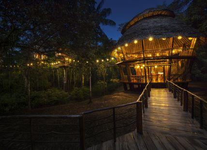 An image of a wooden walkway leading to a tree house, Treehouse Retreat in the Amazon. Treehouse Lodge