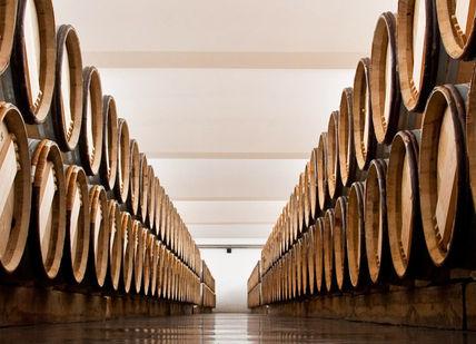An image of a winery cellar with barrels, Bespoke Bordeaux Wine Making. VINIV
