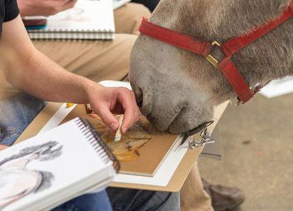 An image of a horse being fed by a man, Family Wild Life Drawing Masterclass. Wild Life Drawing