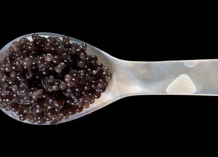 An image of a spoon with a spoon full of black beans, Luxury Wine, Champagne and Caviar Tasting. Wine Cottage