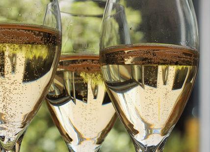 Rediscover The Classics: Private Online Prosecco And Vintage Bordeaux Tasting
