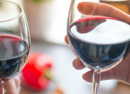 Grape Night In: Private Virtual Wine Tasting At Home