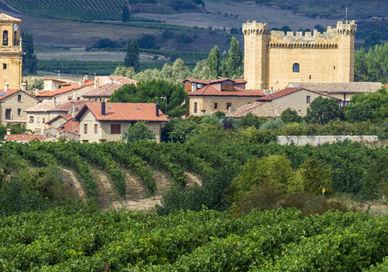 An image of a small town surrounded by trees, Three Night Spanish Wine Getaway and Three Michelin-starred Lunch. Winerist Ltd