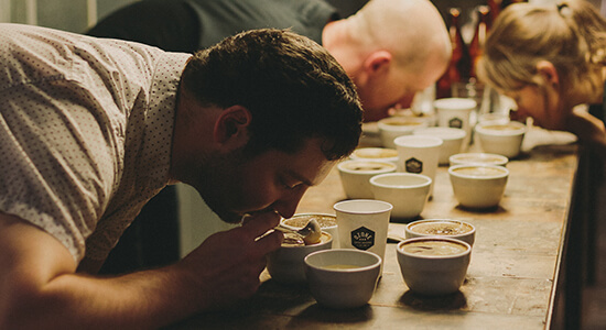 Ozone coffee cupping