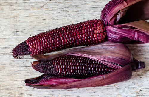 Purple Corn South America