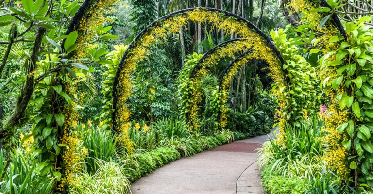 Finest Botanical Gardens Around the World