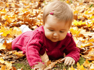 Leaf Activities for Toddlers