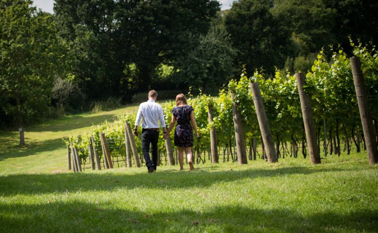 Couple holding hands walking through vineyard