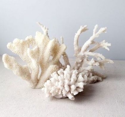 White coral for 35th wedding anniversary