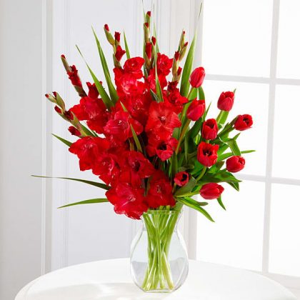 Big anniversary bouquet of red Gladioli