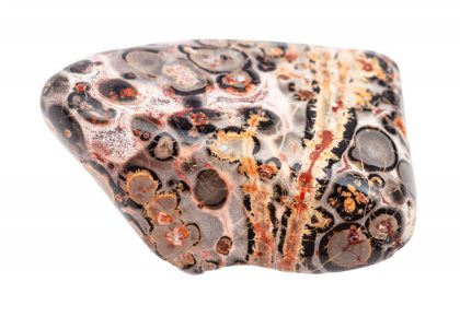Tumbled Leopard skin jasper (Jaguar Stone) gemstone