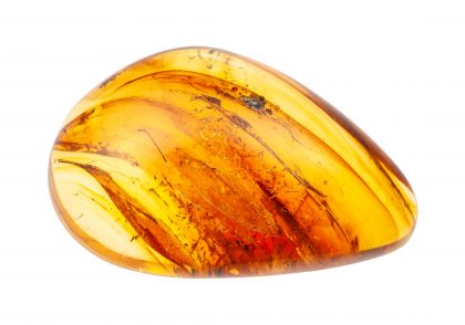 Polished Amber stone