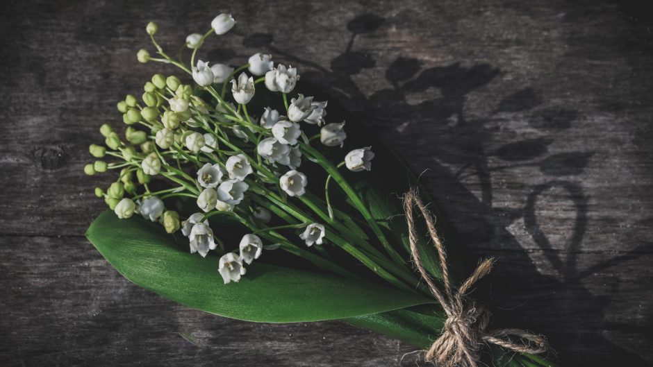 Bouquet of Lily of the Valley, the May birth flower