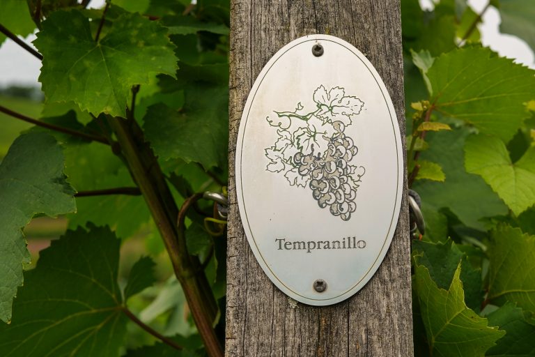 Vine plants with a "Tempranillo" sign on a vineyard. Tempranillo