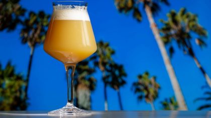 A hazy India pale ale craft beer in a Teku Glass with tropical p