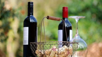 wine served in a vineyard