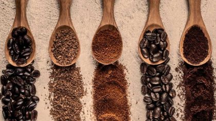 Types of Coffee Beans All 4 Species Explained + Pictures