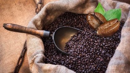 12 Best Coffee Beans For 2022