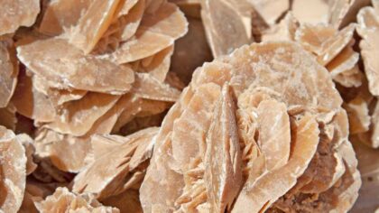 Desert Rose Crystal Meanings, Properties, Facts and More
