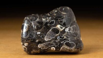Turritella Agate Meanings, Properties, Facts & More