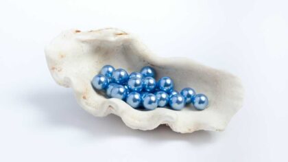 Blue Pearls Complete Buying Guide, Meaning, Uses, Properties & Facts