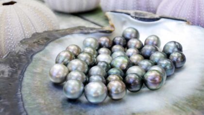 Tahitian Pearls Complete Buying Guide, Meaning, Uses, Properties & Facts